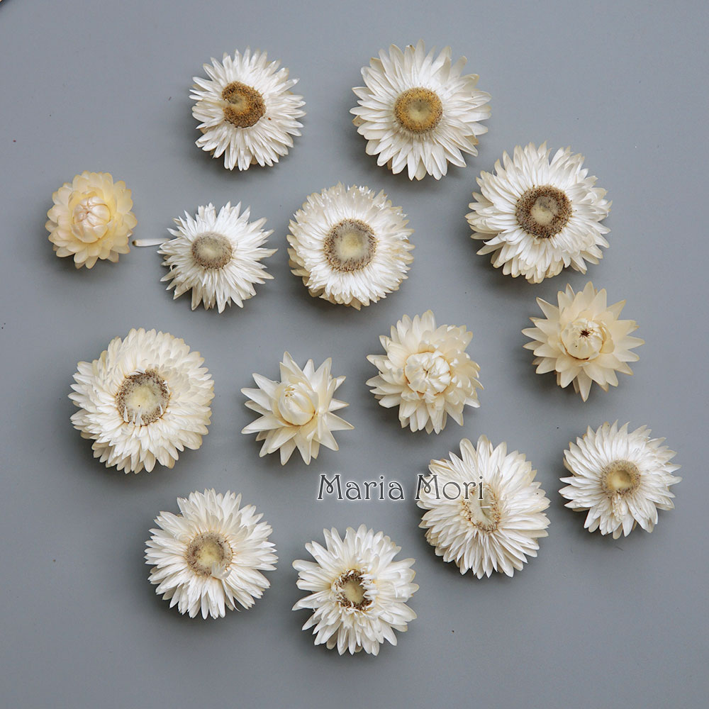 Baby Products 1 Year - Natürlicher getrockneter bunter Chrysanthemenkranz, handgefertigter Haarschmuck,